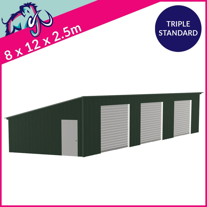 Triple Maxi Pent Garage Side Access – 8 x 12 x 2.5m– 3 Roller/1 PA