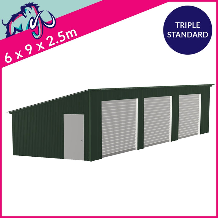 Triple Standard Pent Garage Side Access – 6 x 9 x 2.5m– 3 Roller/1 PA